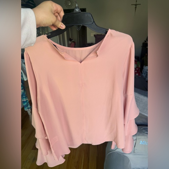 Basic Model Chic Blush Ruffle Sleeve Blouse - Picture 2 of 6